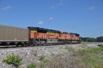 BNSF 9072 Roster shot